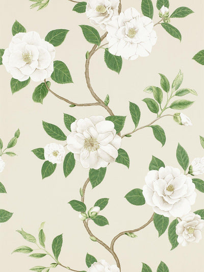 Blomstertapet med Snirkler og Allsidig Design
