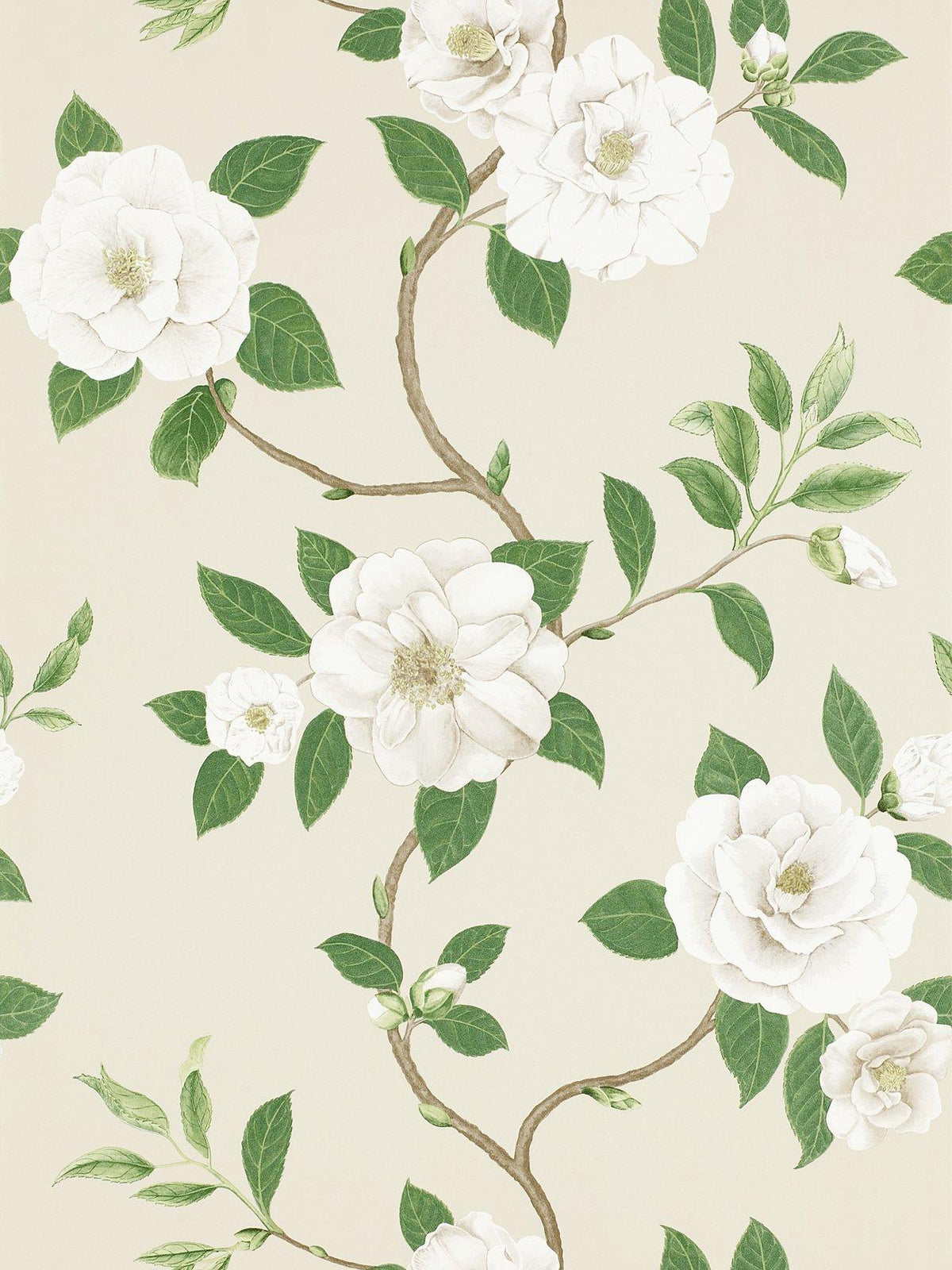 Floral Trail Wallpaper with Versatile Design