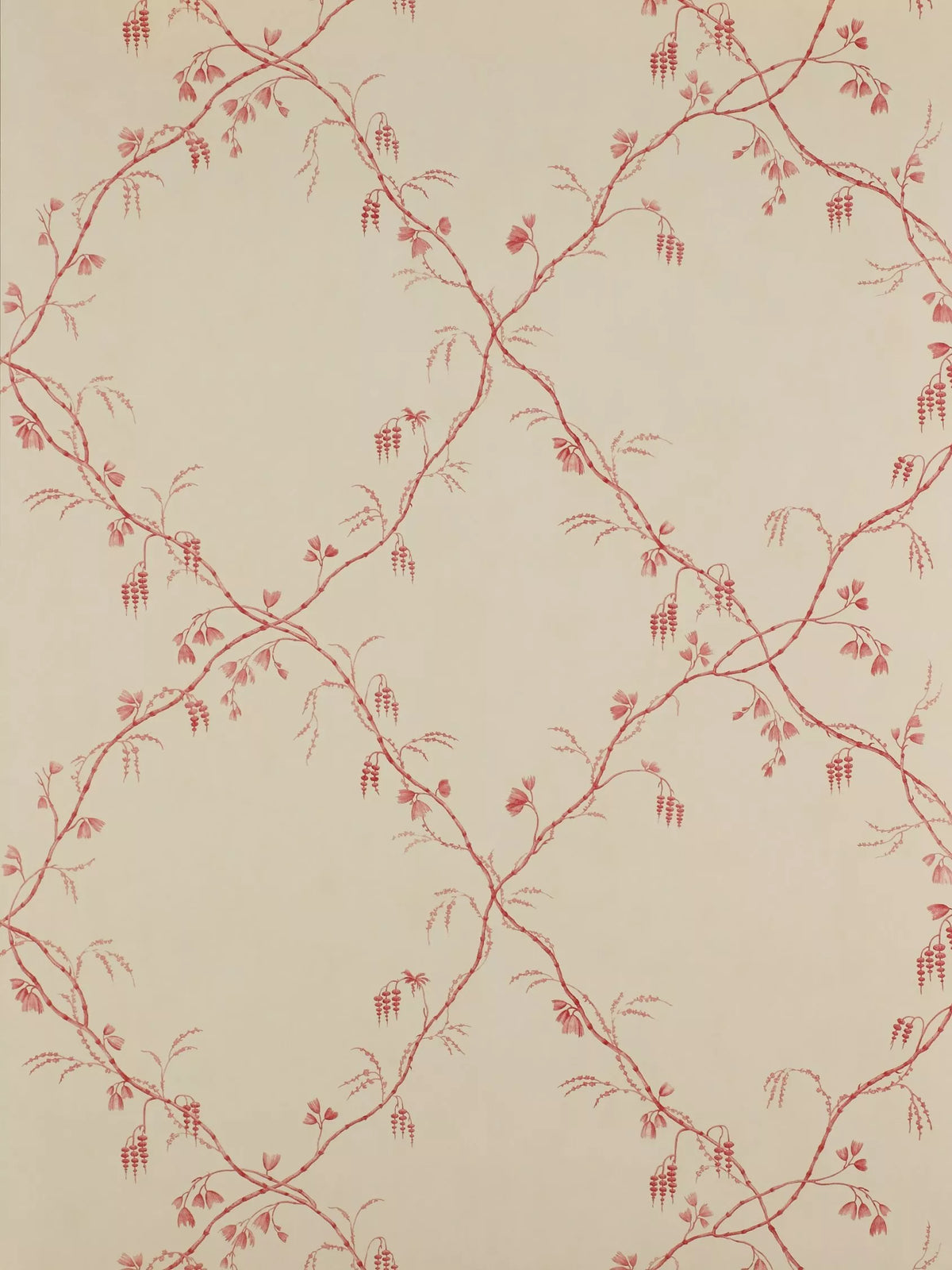 Colefax Fowler Roussillon wallpaper L10m W68.5cm imported from the UK