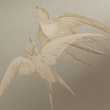 Sanderson Swallows Wallpaper (British brand)