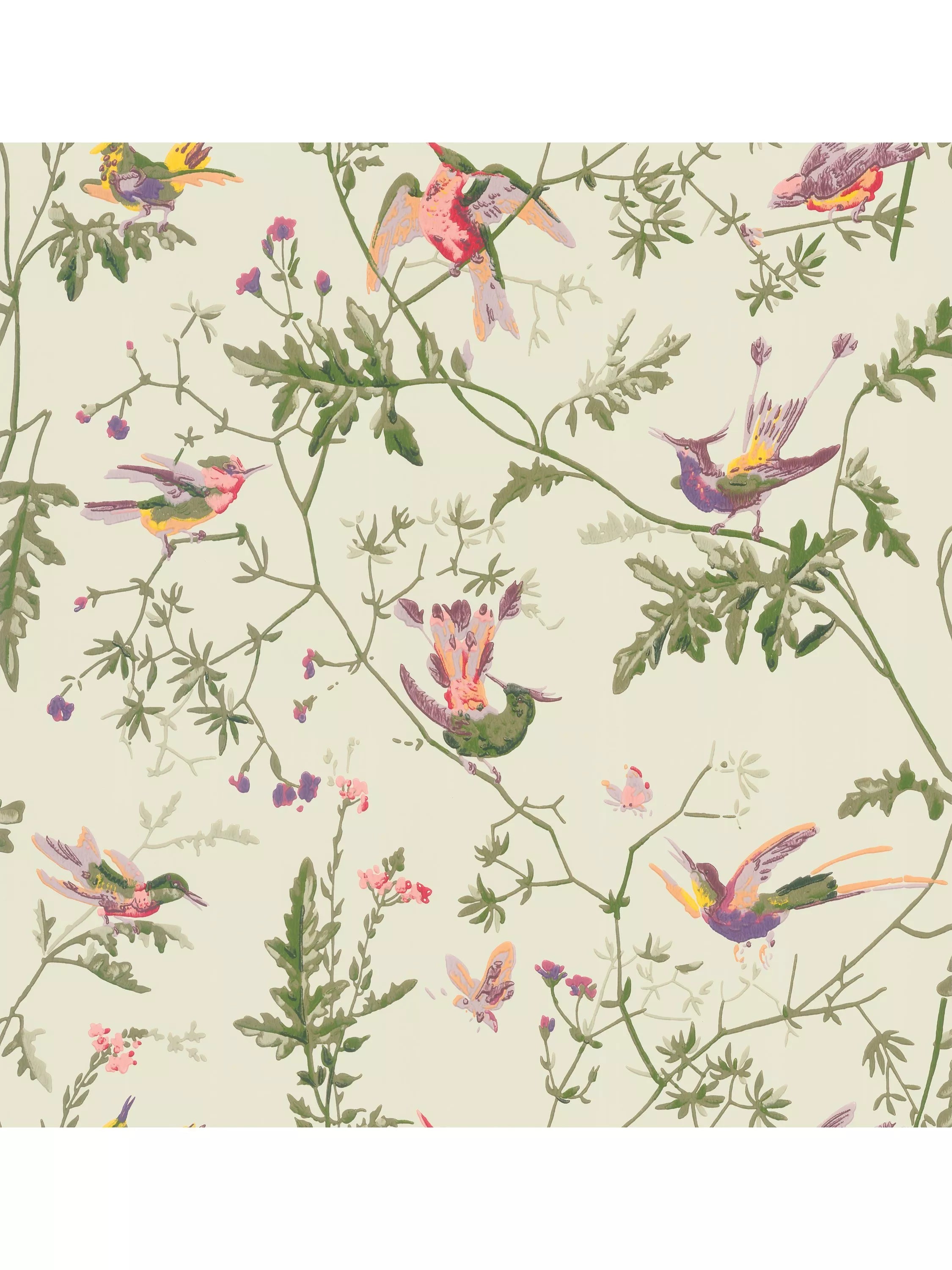 Cole & Son Kolibris Tapete