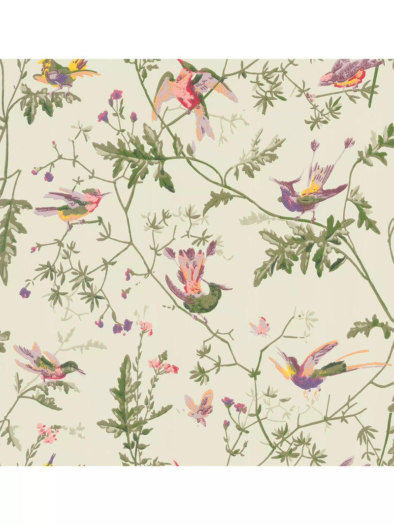 Cole & Son Kolibris Tapete