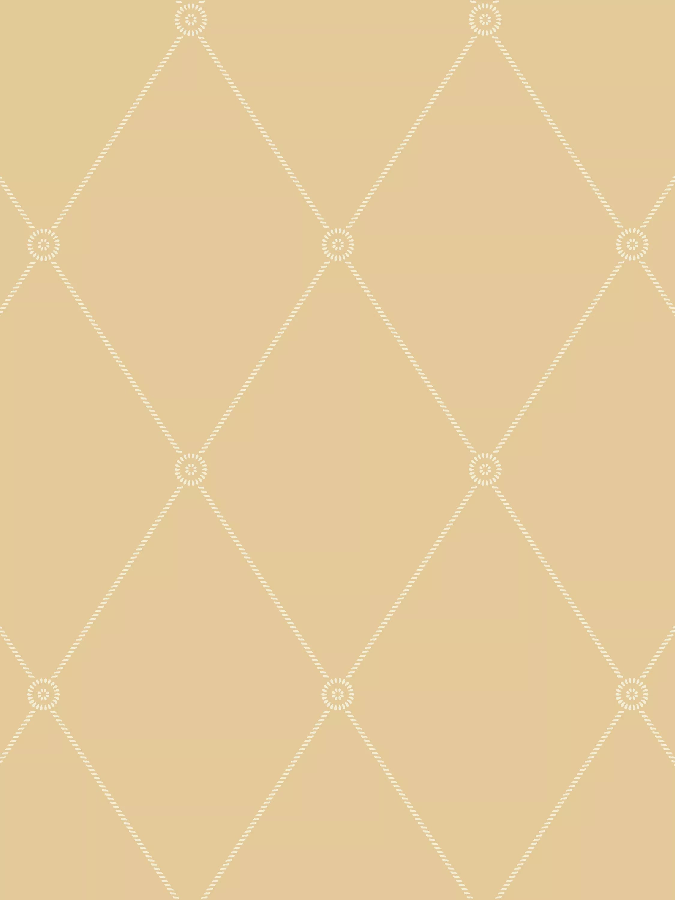 Cole & Son Rope Trellis Wallpaper 10.05m x 52cm