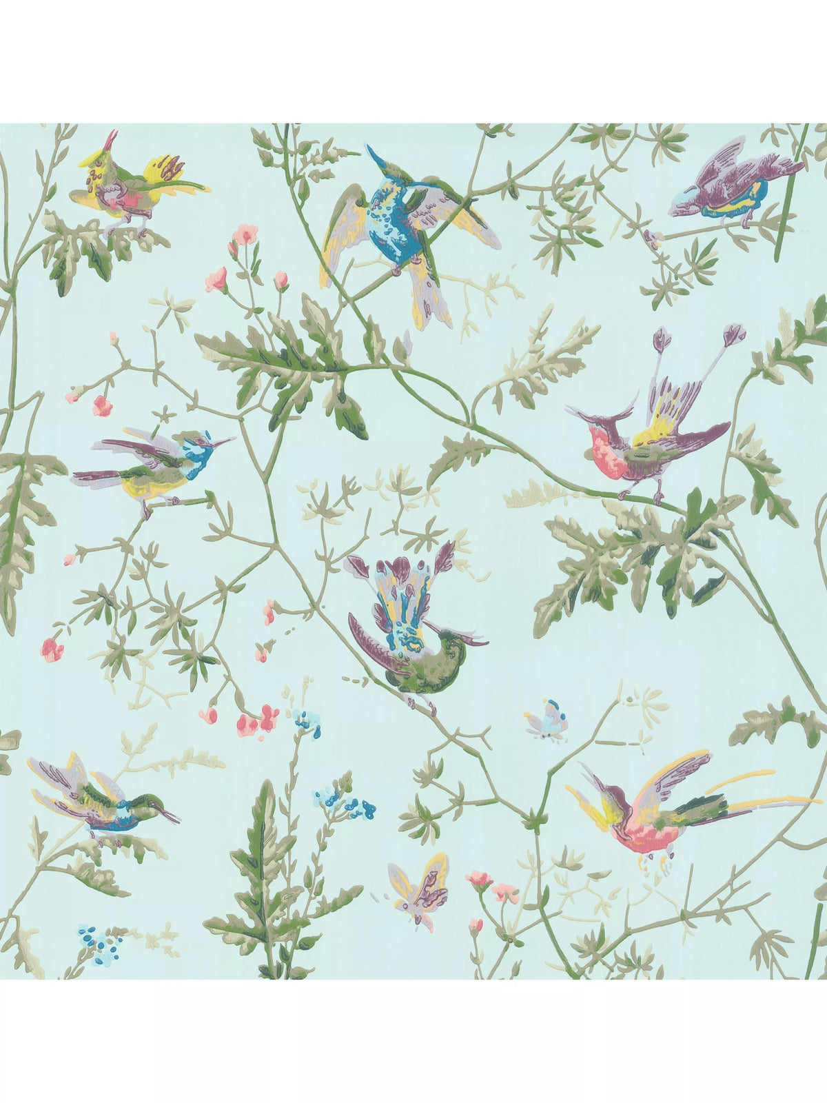Cole & Son Kolibris Tapete, britische Version