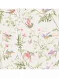 Cole & Son Kolibris Tapete