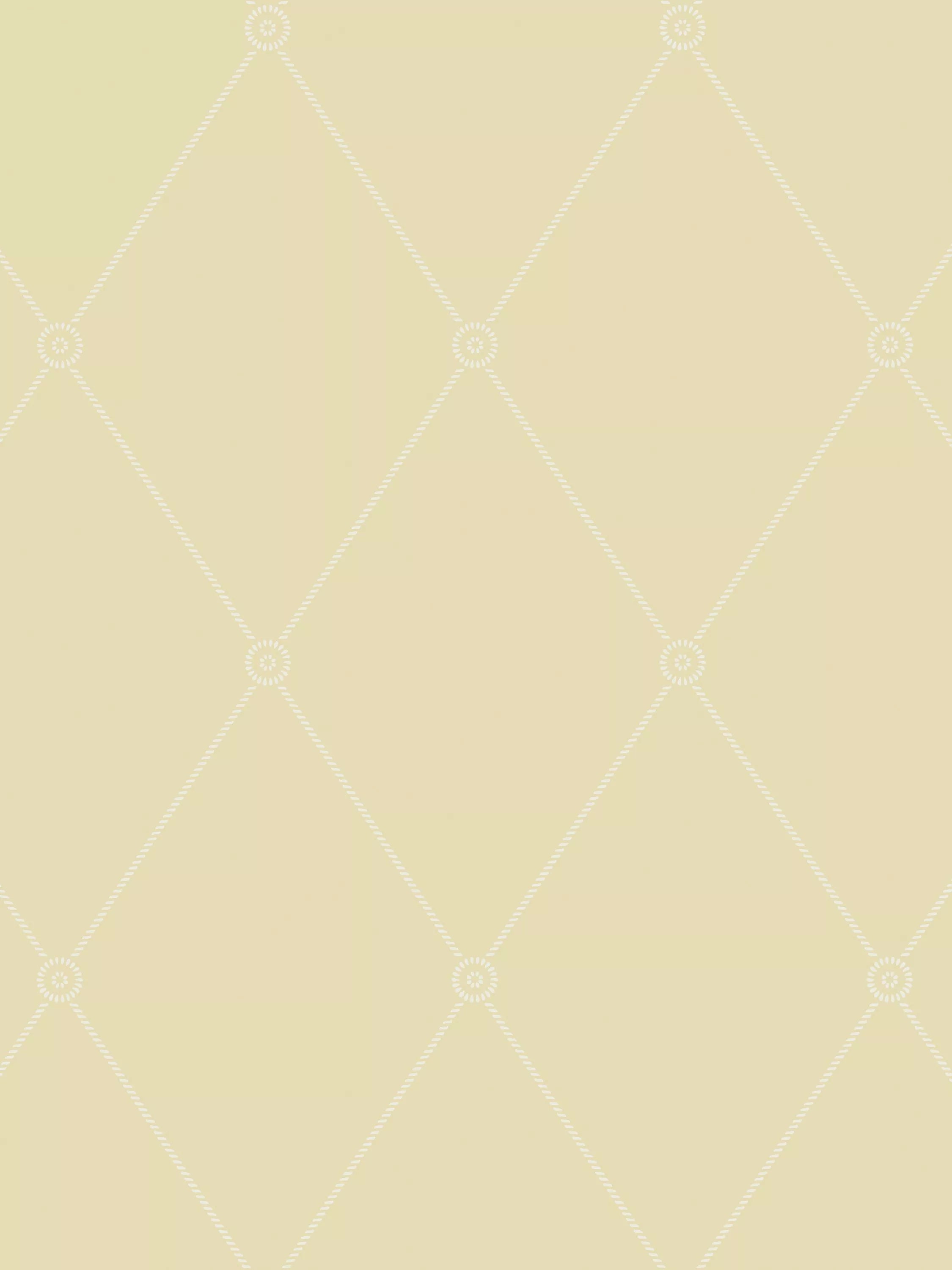 Cole & Son Rope Trellis Wallpaper 10.05m x 52cm