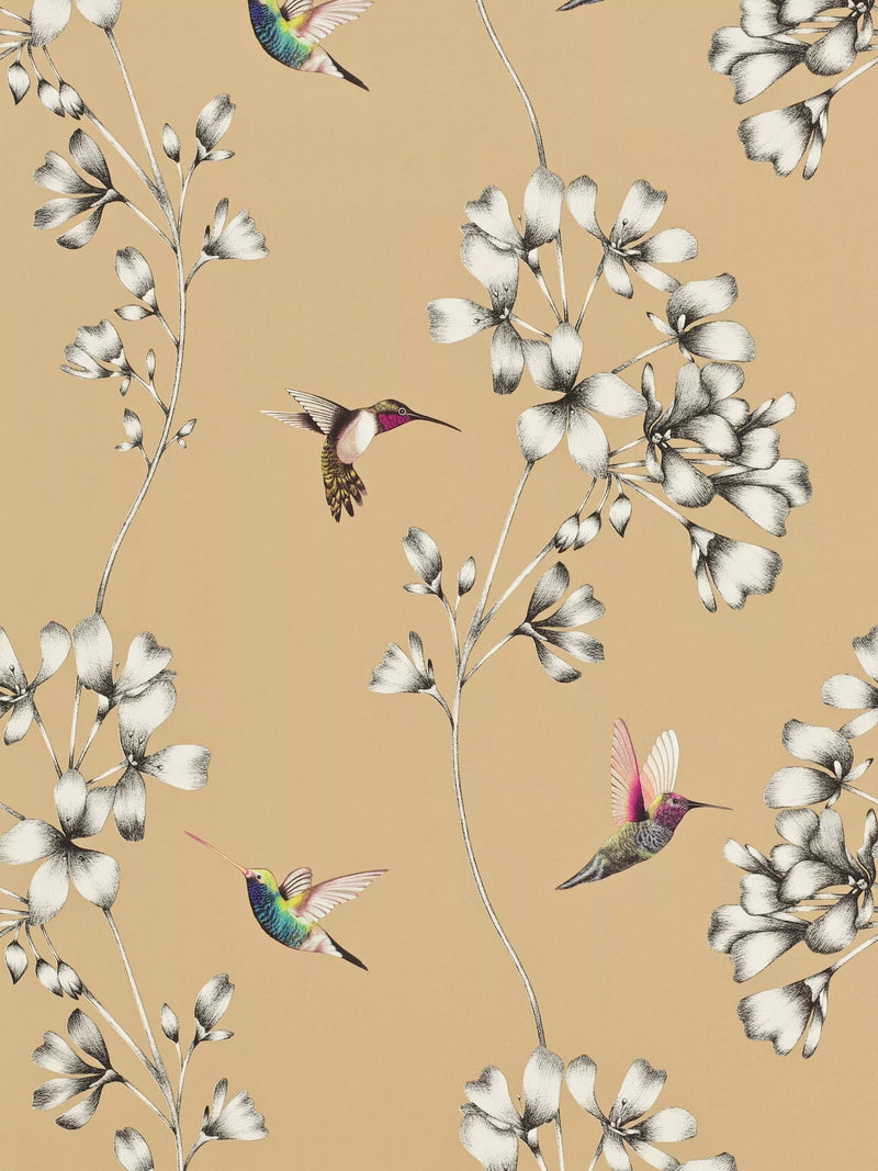 Harlequin Amazilia Wallpaper, Bronze, 111063