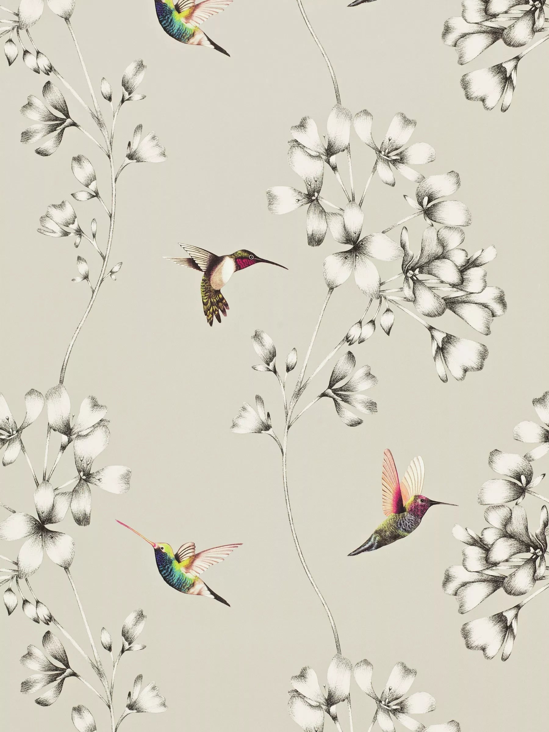 Harlequin Amazilia Wallpaper, Silver, 111062