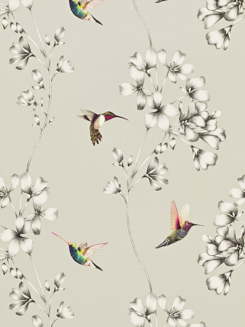 Harlequin Amazilia Wallpaper, Silver, 111062