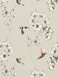 Harlequin Amazilia Wallpaper, Silver, 111062