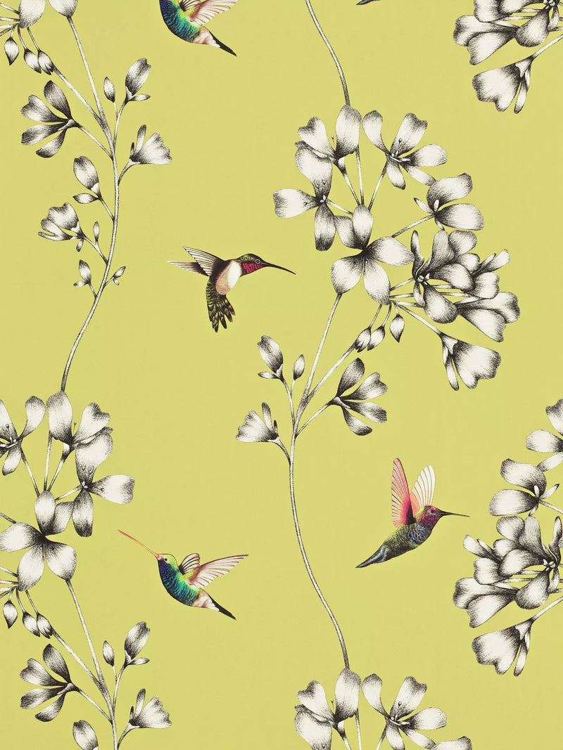 Harlequin Amazilia wallpaper, UK version