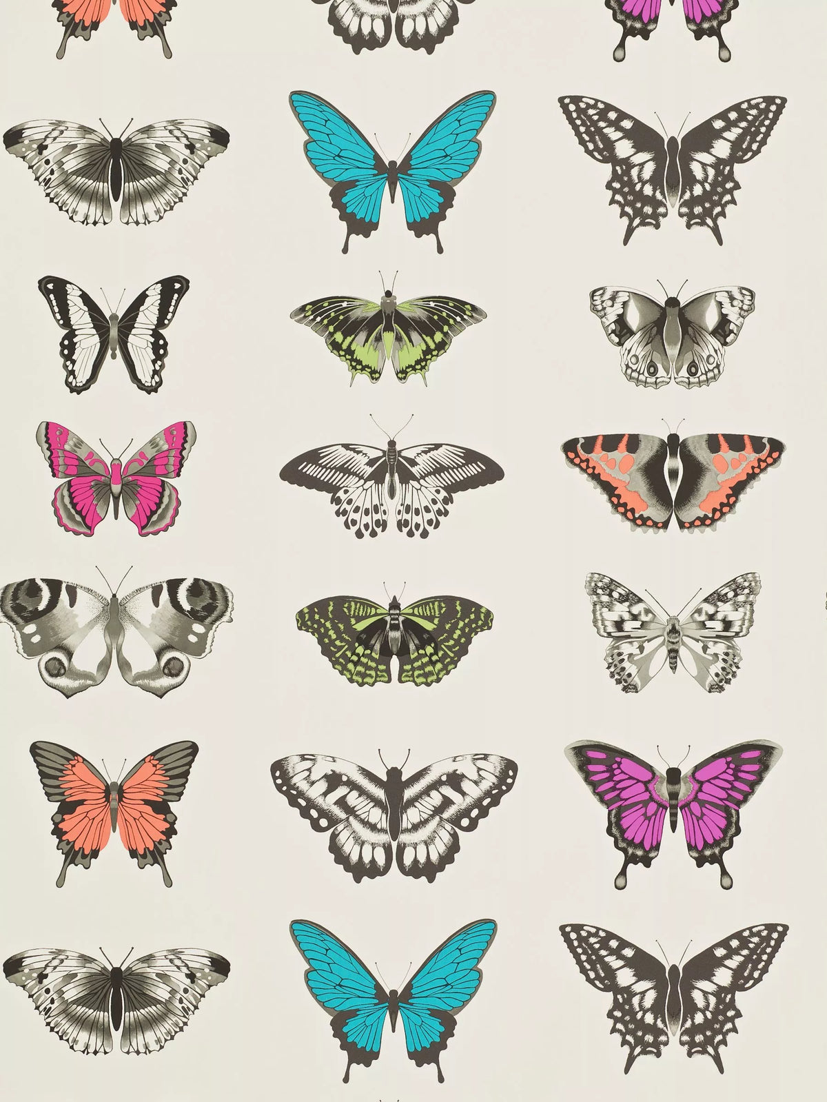 Harlequin Papilio botanical butterfly wallpaper, UK version