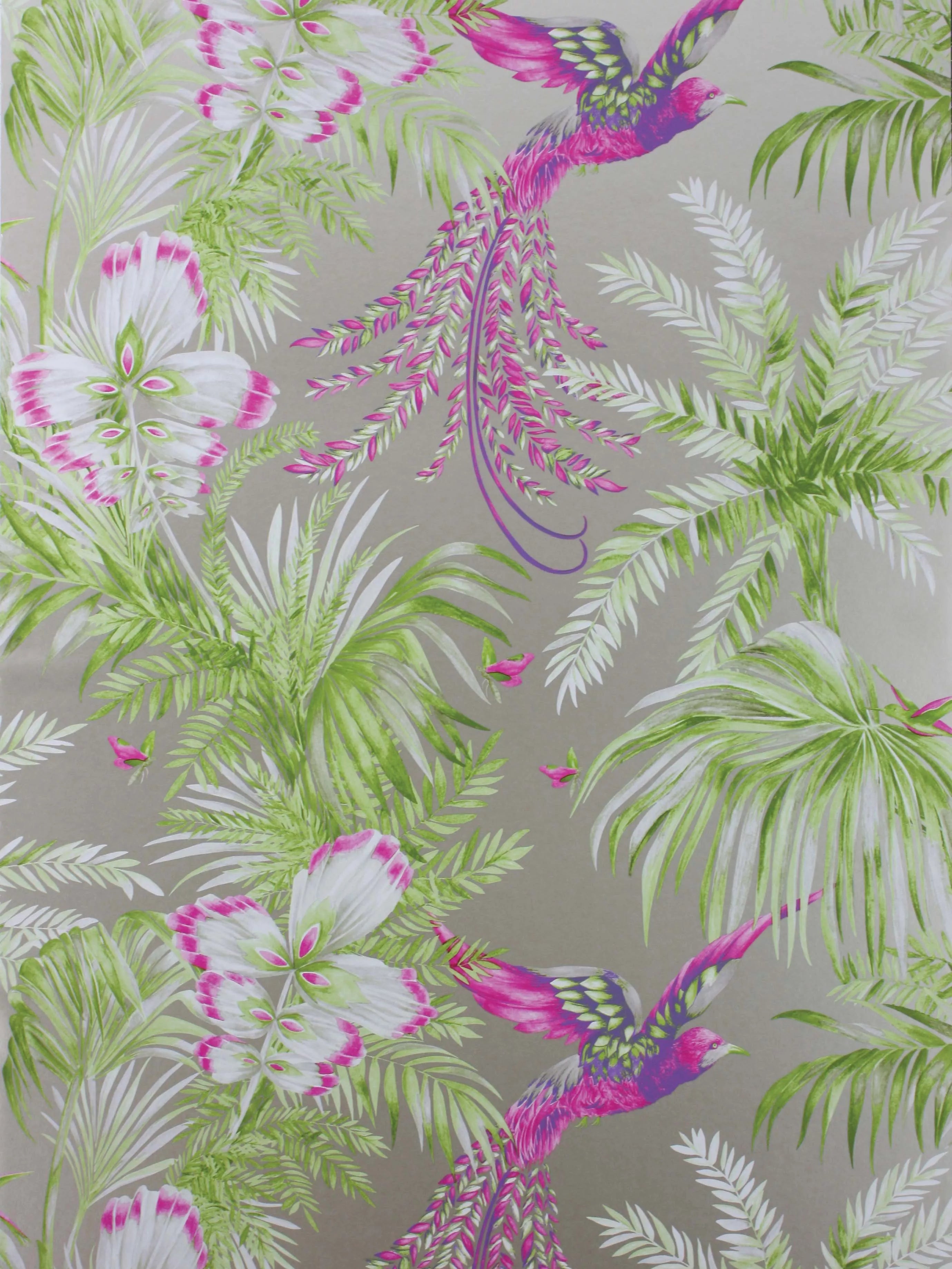 Matthew Williamson Bird of Paradise Wallpaper, Kiwi, W6655-03
