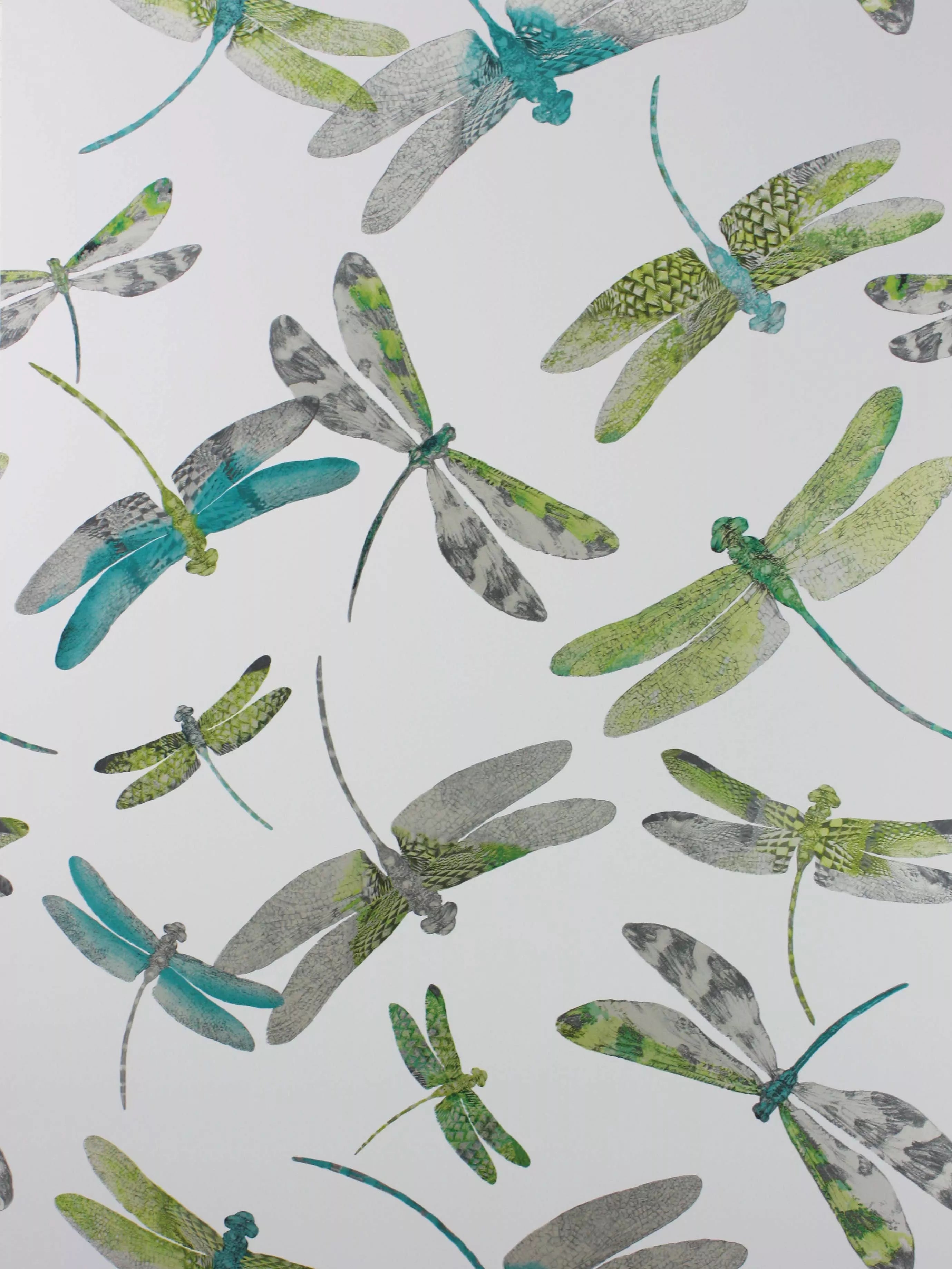 Matthew Williamson Dragonfly Dance Wallpaper 10m x 52cm