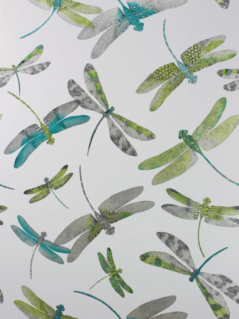 Matthew Williamson Dragonfly Dance Wallpaper 10m x 52cm