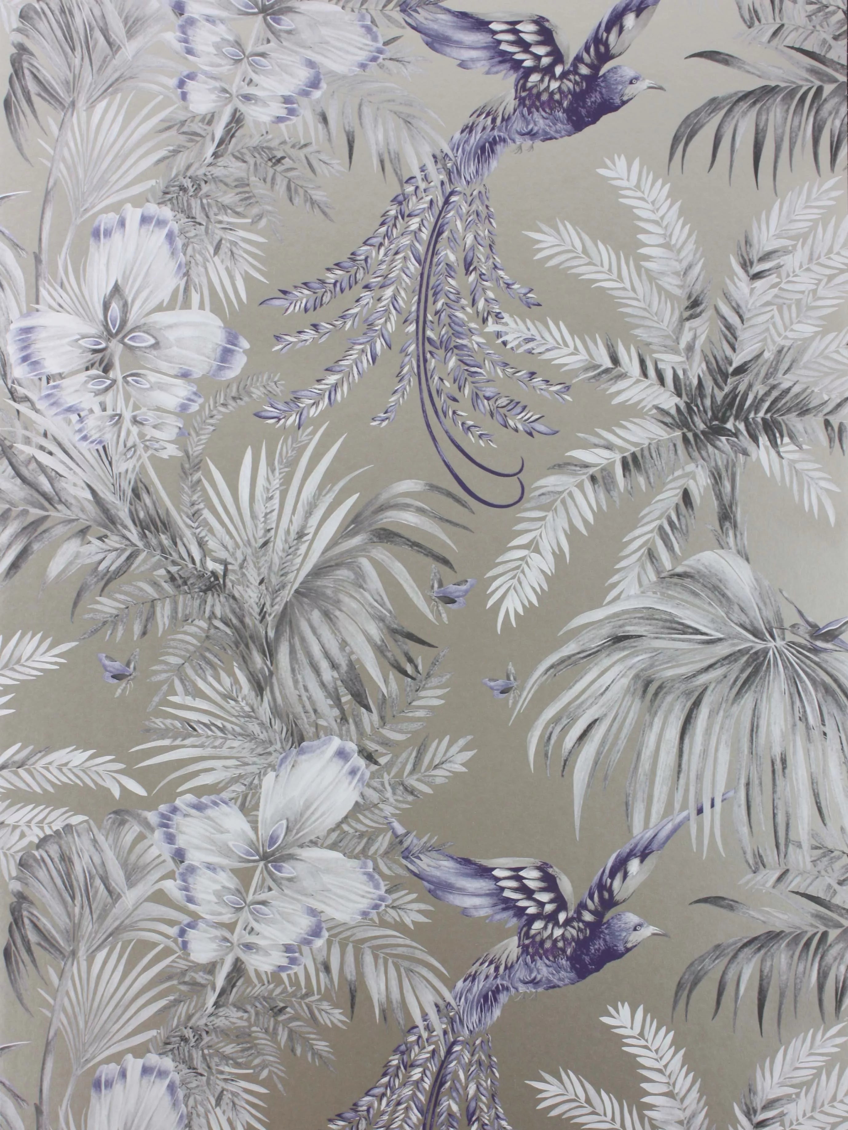 Matthew Williamson Bird of Paradise Wallpaper, Blue, W6655-05