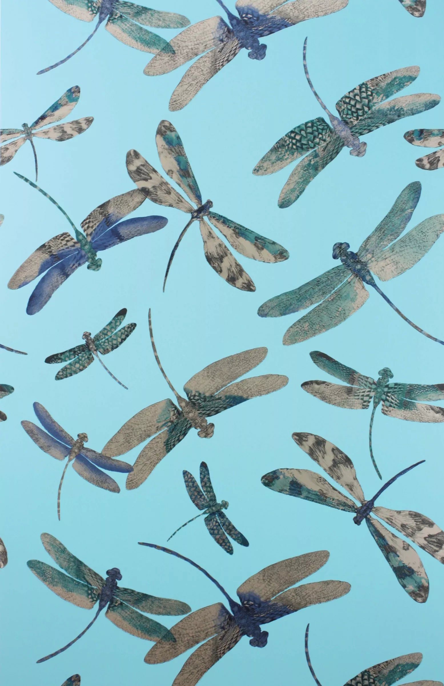 Matthew Williamson Dragonfly Dance Wallpaper 10m x 52cm