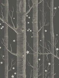 Cole & Son Woods & Stars Wallpaper 10m x 52cm