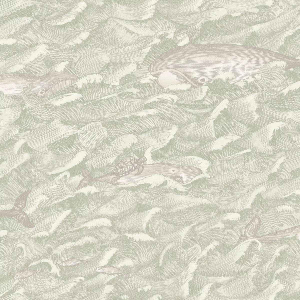Cole & Son Melville wallpaper 10m roll, imported from the UK