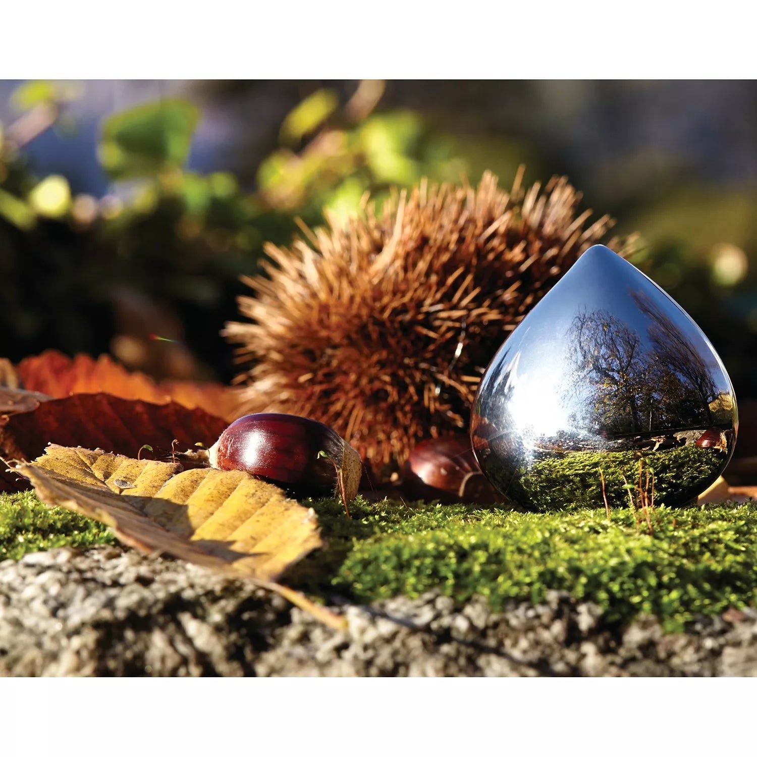 Alessi Chestnut Pill Box - British product