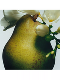 Pear and Freesia Scented Hydrating Body Cream with Conditioning Oils