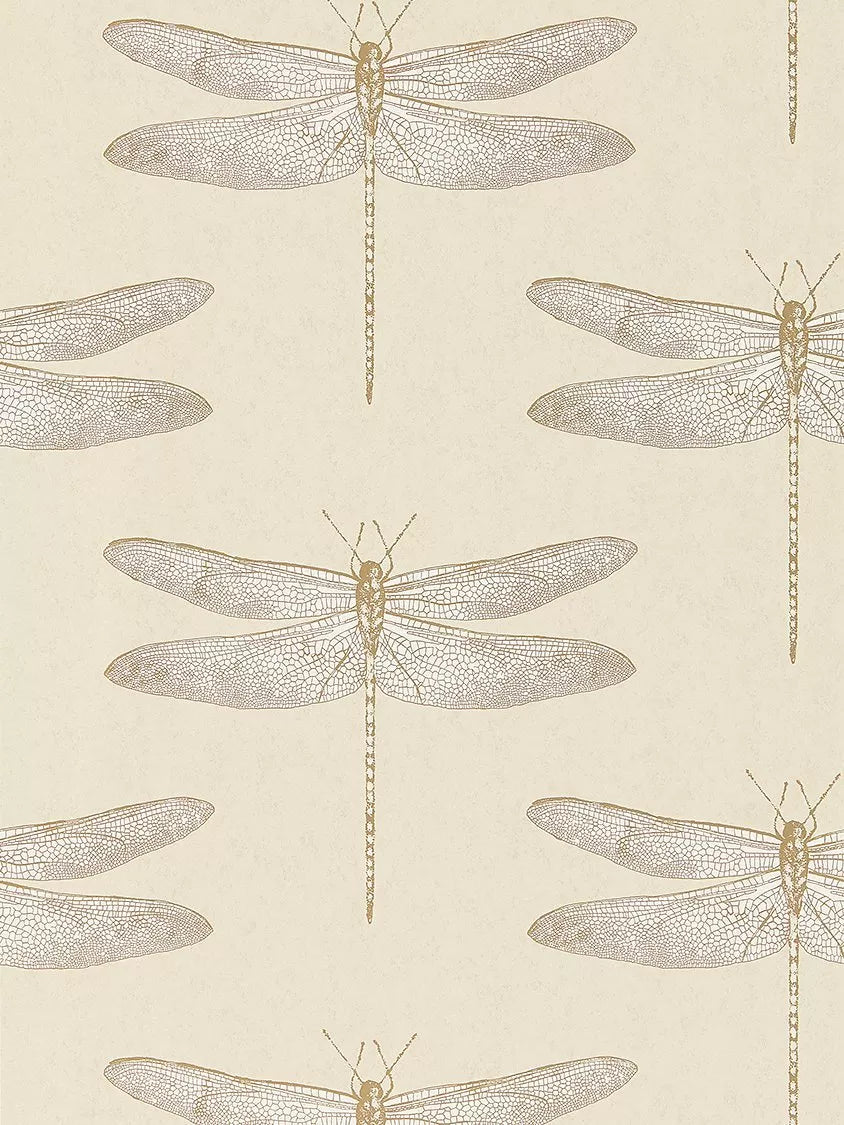 Harlequin Demoiselle Wallpaper, Shell, 111239