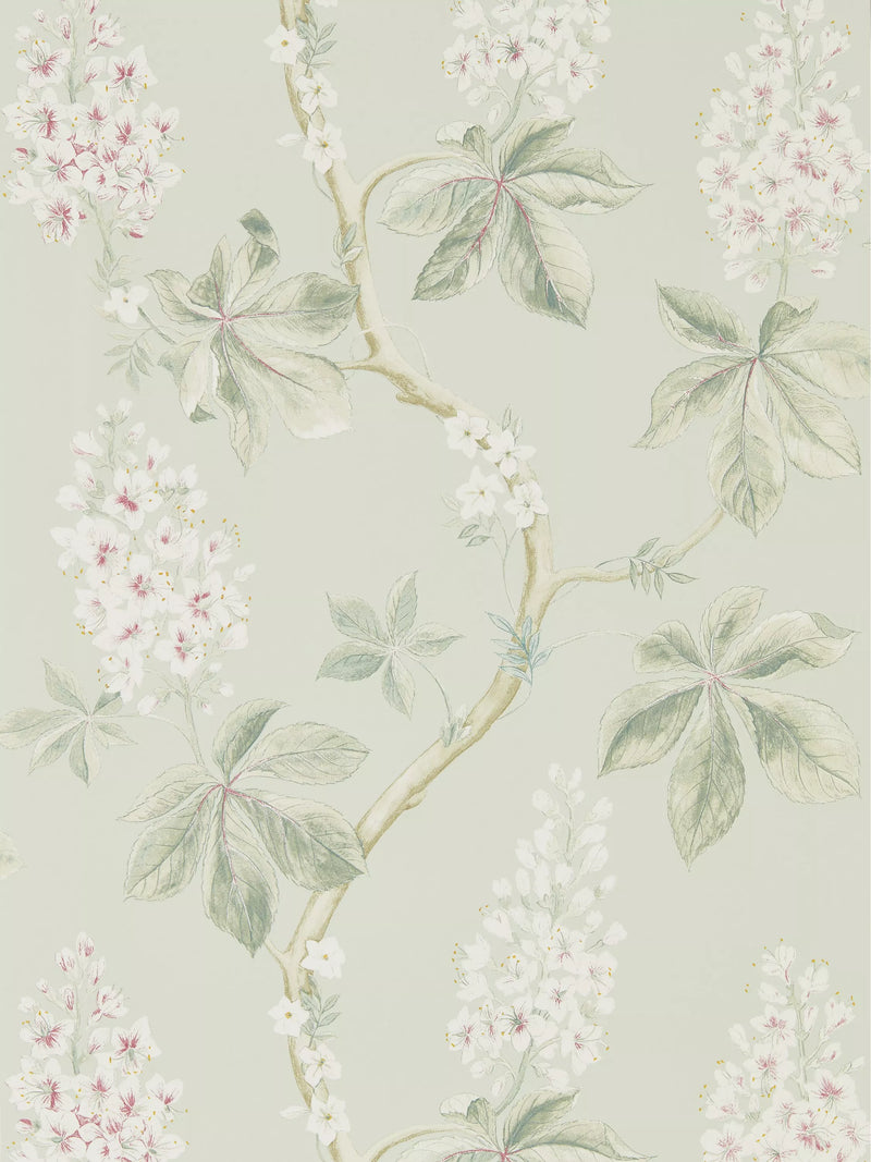 Sanderson Chestnut Tree Wallpaper 10.05m x 68.5cm
