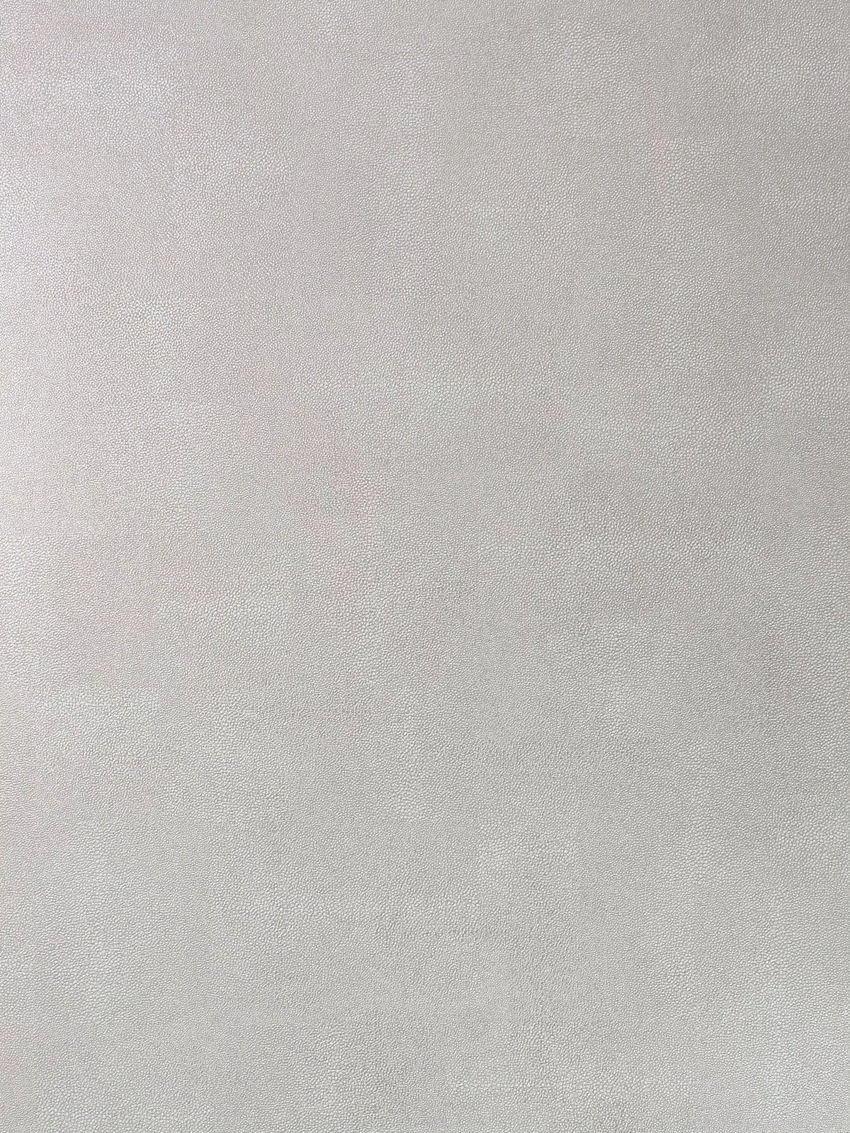 Osborne & Little Zingrina wallpaper L10m W68.5cm, imported from the UK