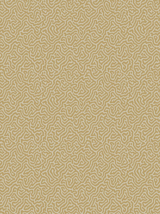 Cole & Son Vermicelli Wallpaper