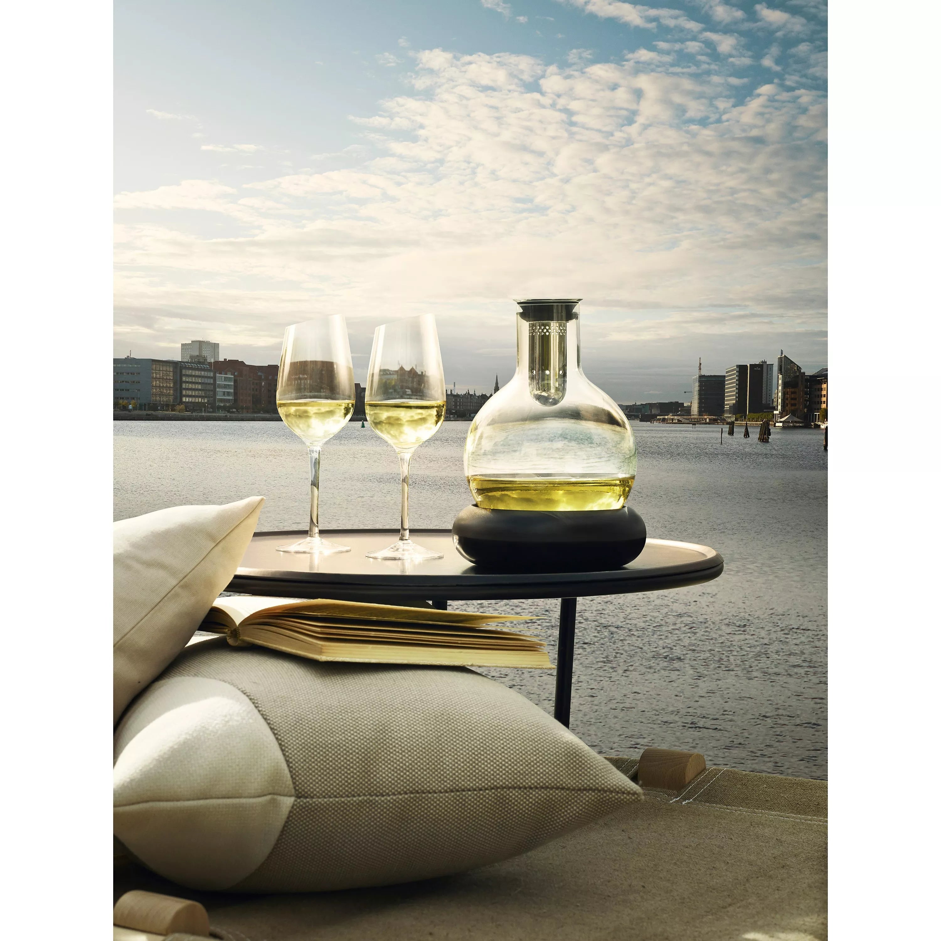 Eva Solo Decanter Carafe with Cool Element 750ml - British product