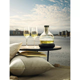 Eva Solo Decanter Carafe with Cool Element 750ml - British product