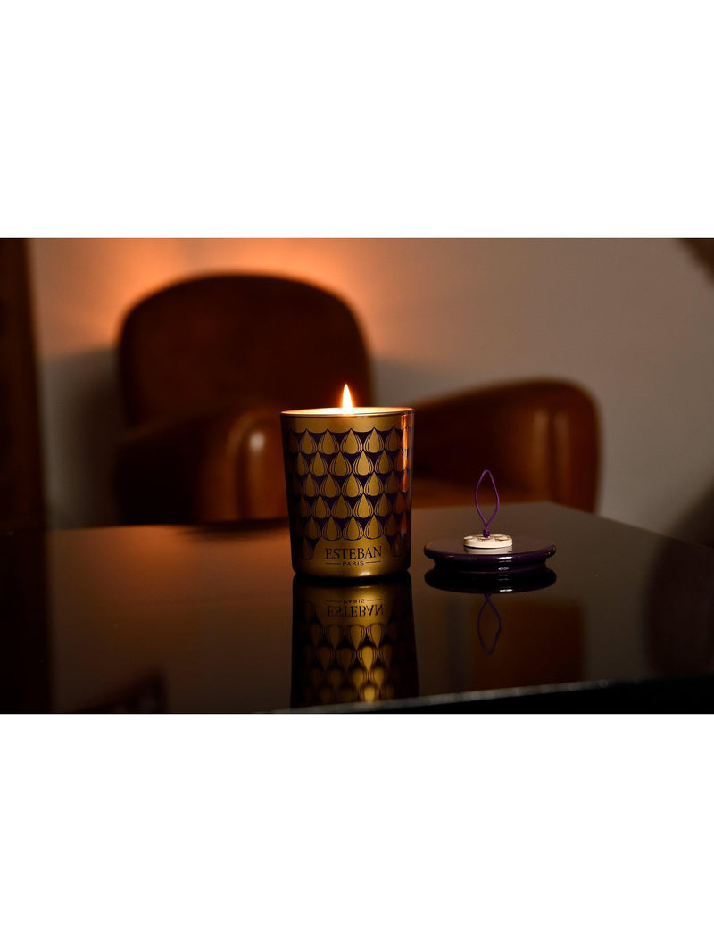 Esteban Figue Noire scented candle 180g - British product