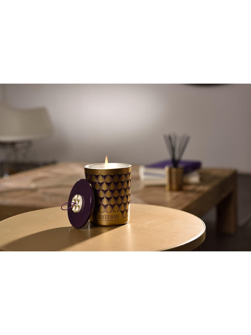 Esteban Figue Noire scented candle 180g - British product