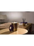 Esteban Figue Noire scented candle 180g - British product