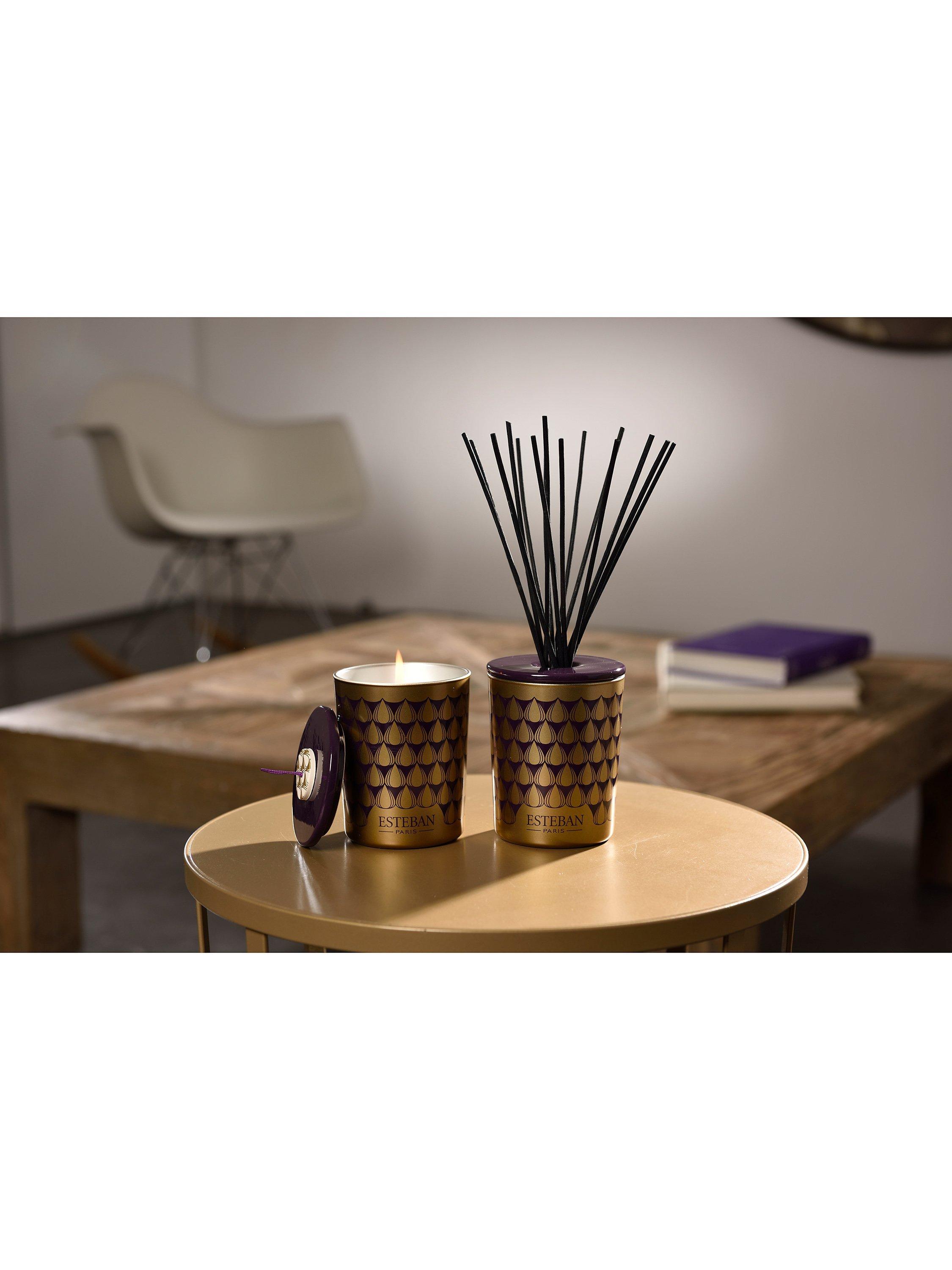 Esteban Figue Noire scented candle 180g - British product