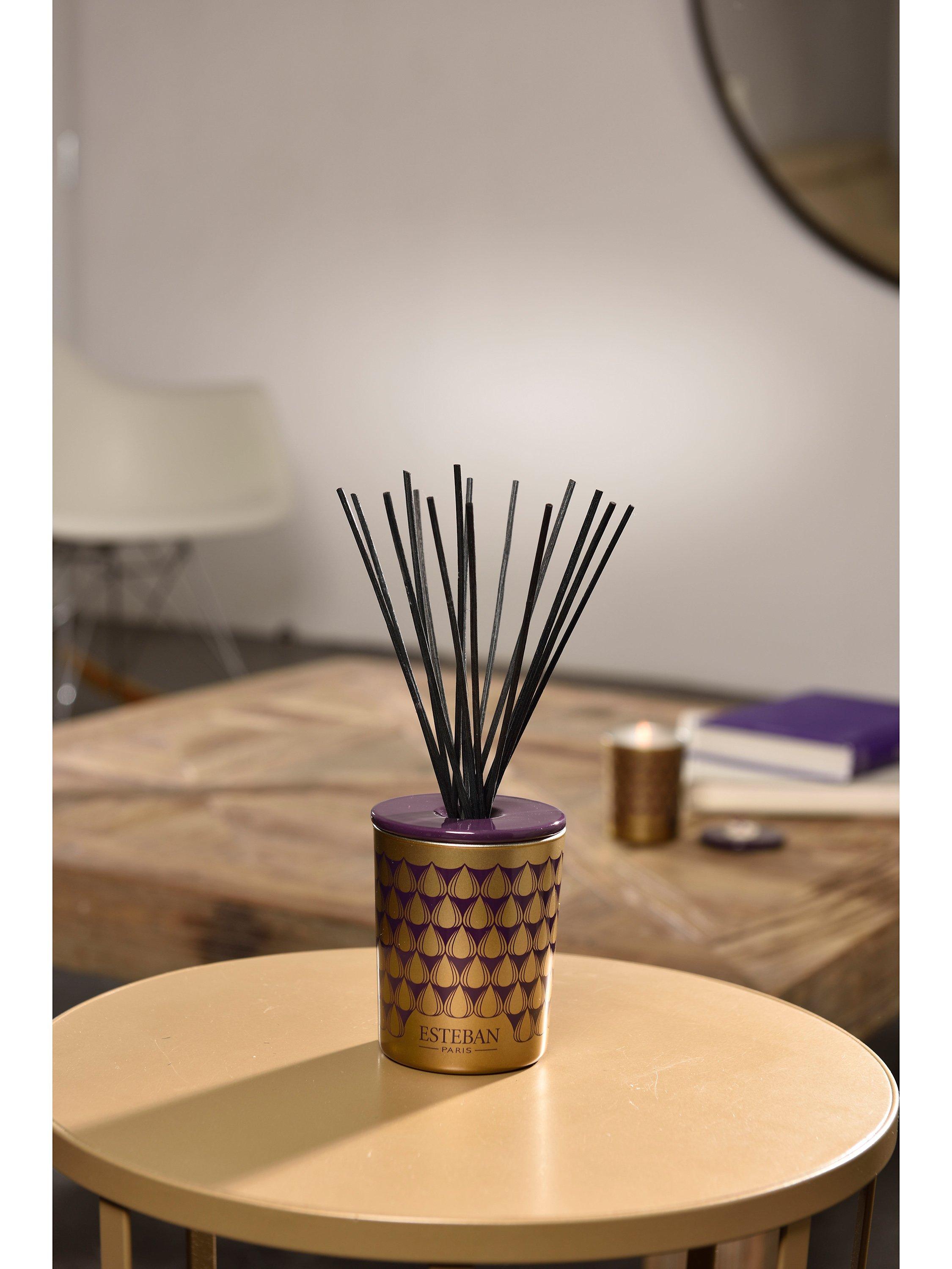 Esteban Figue Noire reed diffuser 100ml - British product