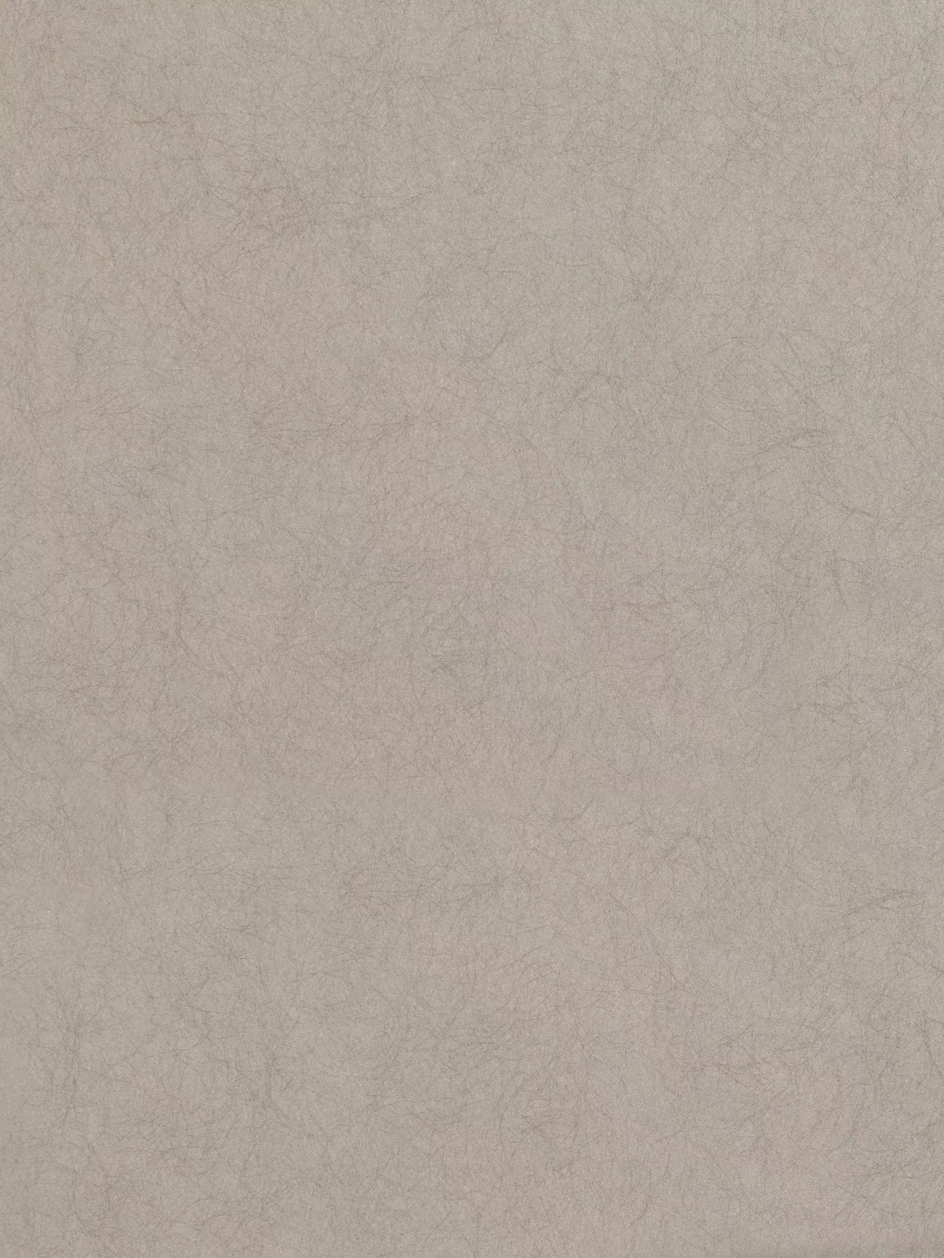 Romo Asper paste the wall wallpaper in textured plain, imported from the UK