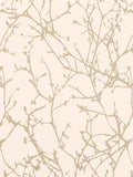 Romo Arbor Paste the Wall Wallpaper 10.05m x 68.6cm