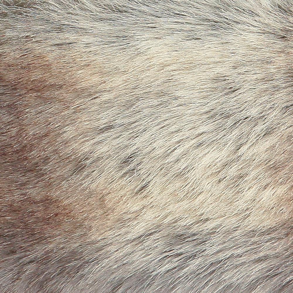 Barts faux fur headband one size brown, imported from the UK