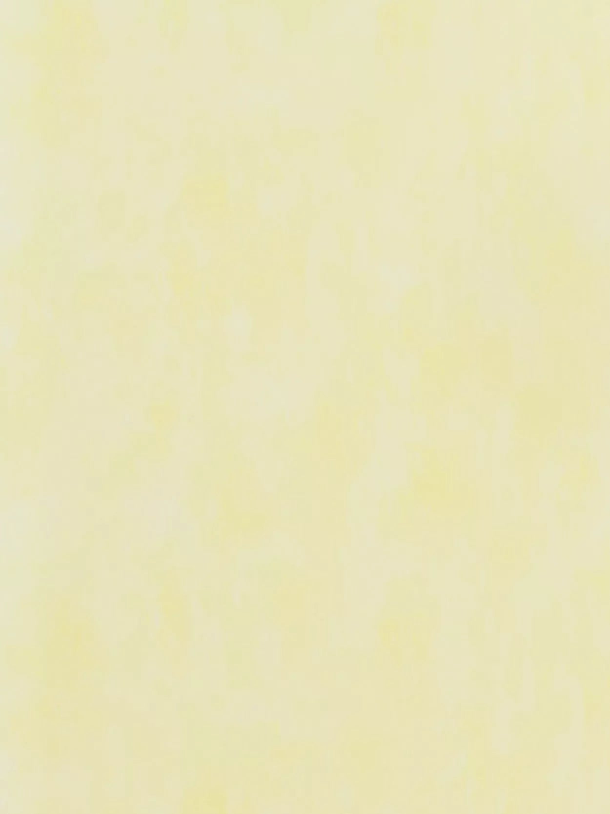 Designers Guild Parchment Paste the Wall Textured Wallpaper