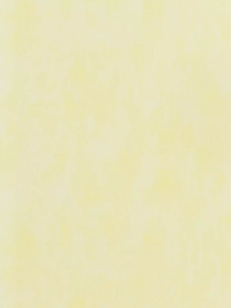 Designers Guild Parchment Paste the Wall Textured Wallpaper
