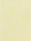 Designers Guild Parchment Paste the Wall Textured Wallpaper