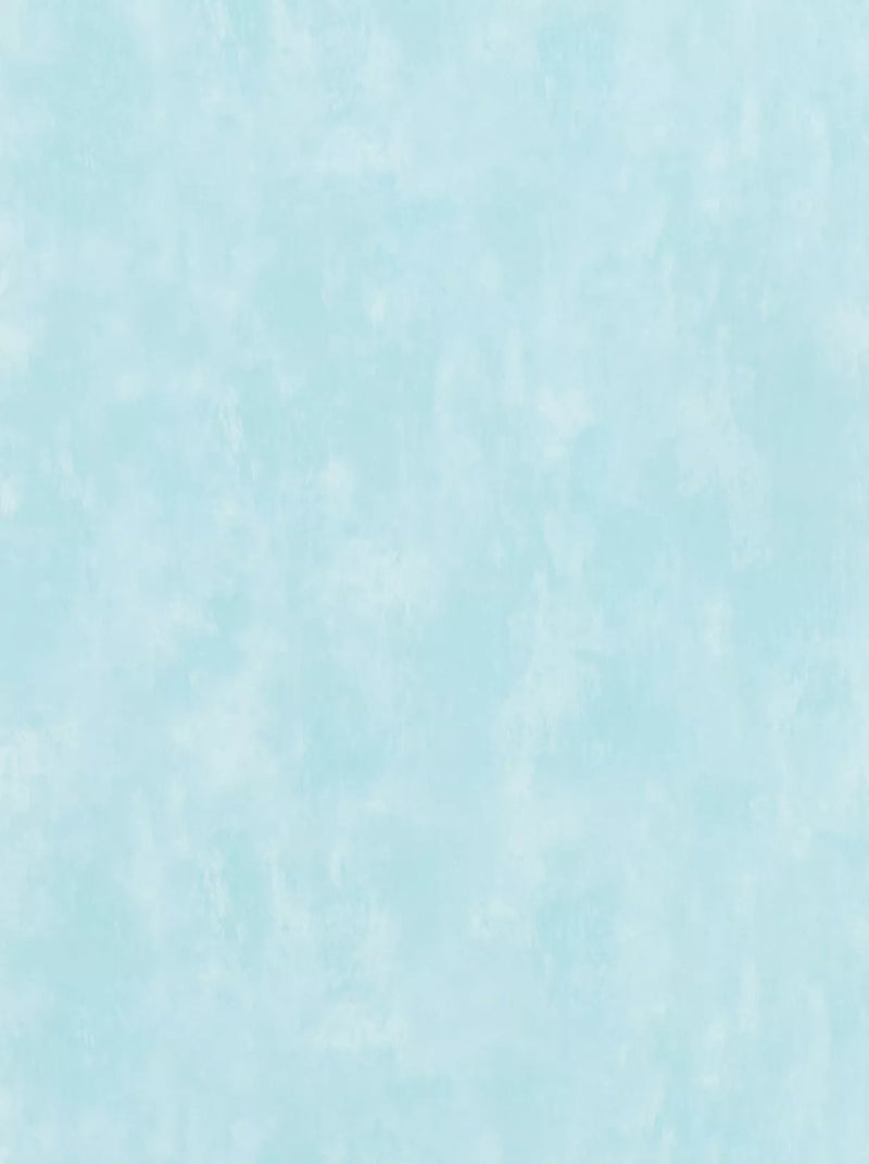 Designers Guild Parchment Paste the Wall Textured Wallpaper