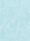 Designers Guild Parchment Paste the Wall Textured Wallpaper