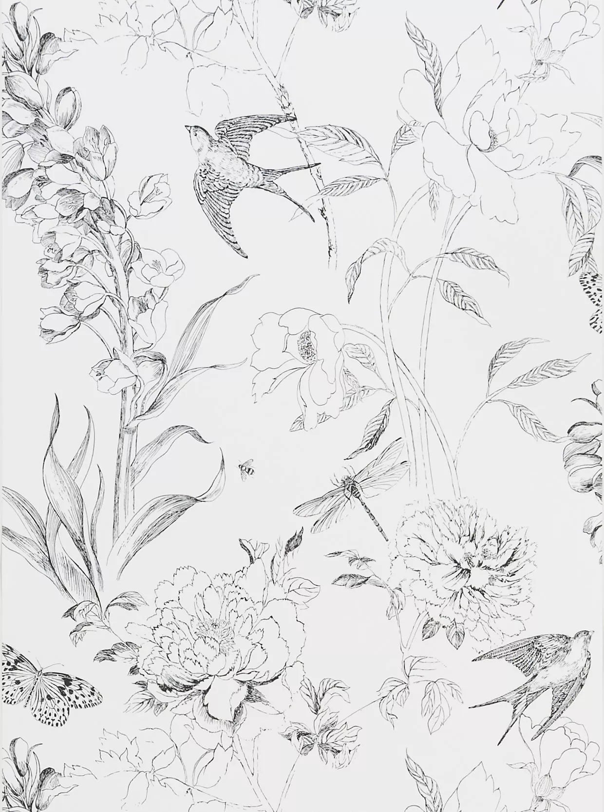 Designers Guild Jardin des Plantes Sibylla Garden Paste the Wall Wallpaper, Black / White PDG721/01