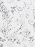 Designers Guild Jardin des Plantes Sibylla Garden Paste the Wall Wallpaper, Black / White PDG721/01