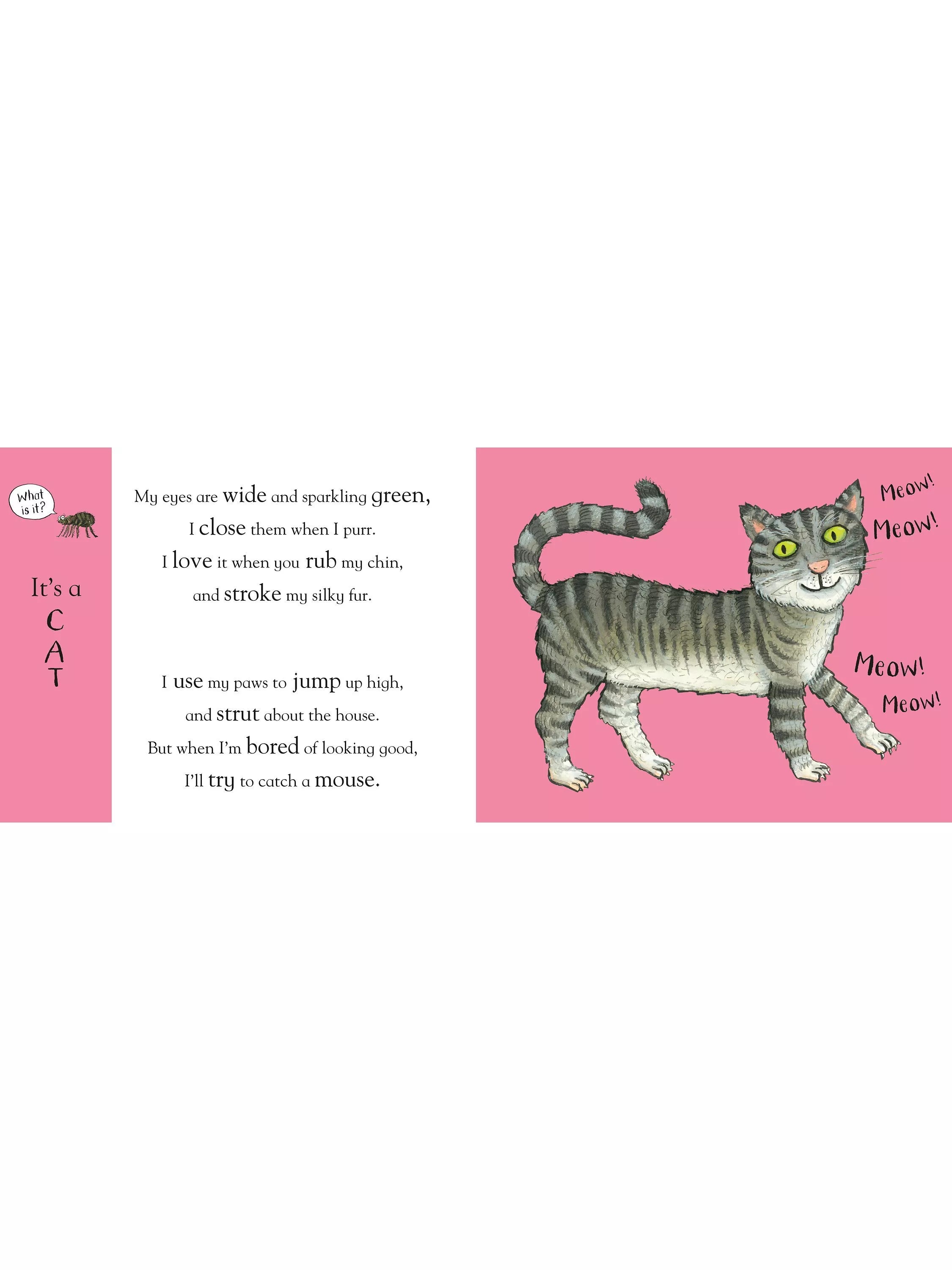 Nosy Crow Flip Flap Pets children's board book, imported from the UK