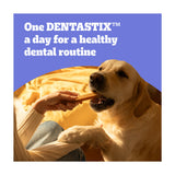 Pedigree Dentastix Large Dog Treats 154g, imported from the UK