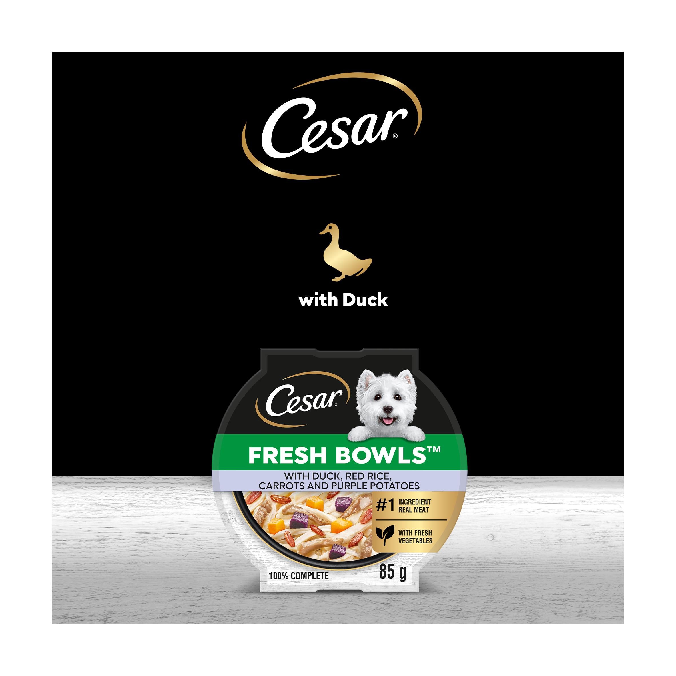 Cesar Fresh Bowl wet dog food duck rice carrots 85g - British product