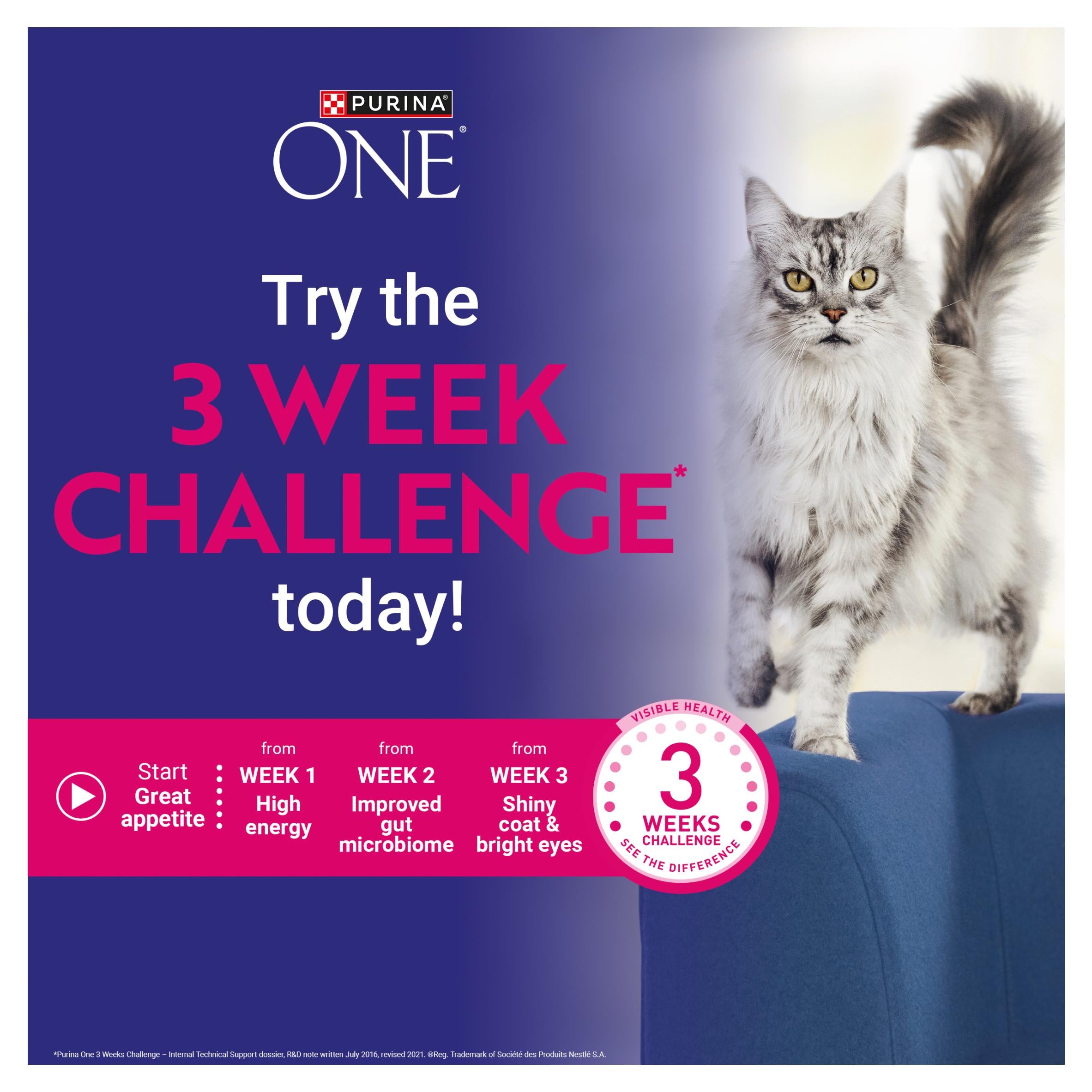 Purina One mini filets wet cat food 8x85g, UK version